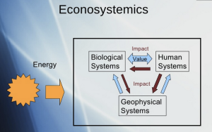 econosystemics